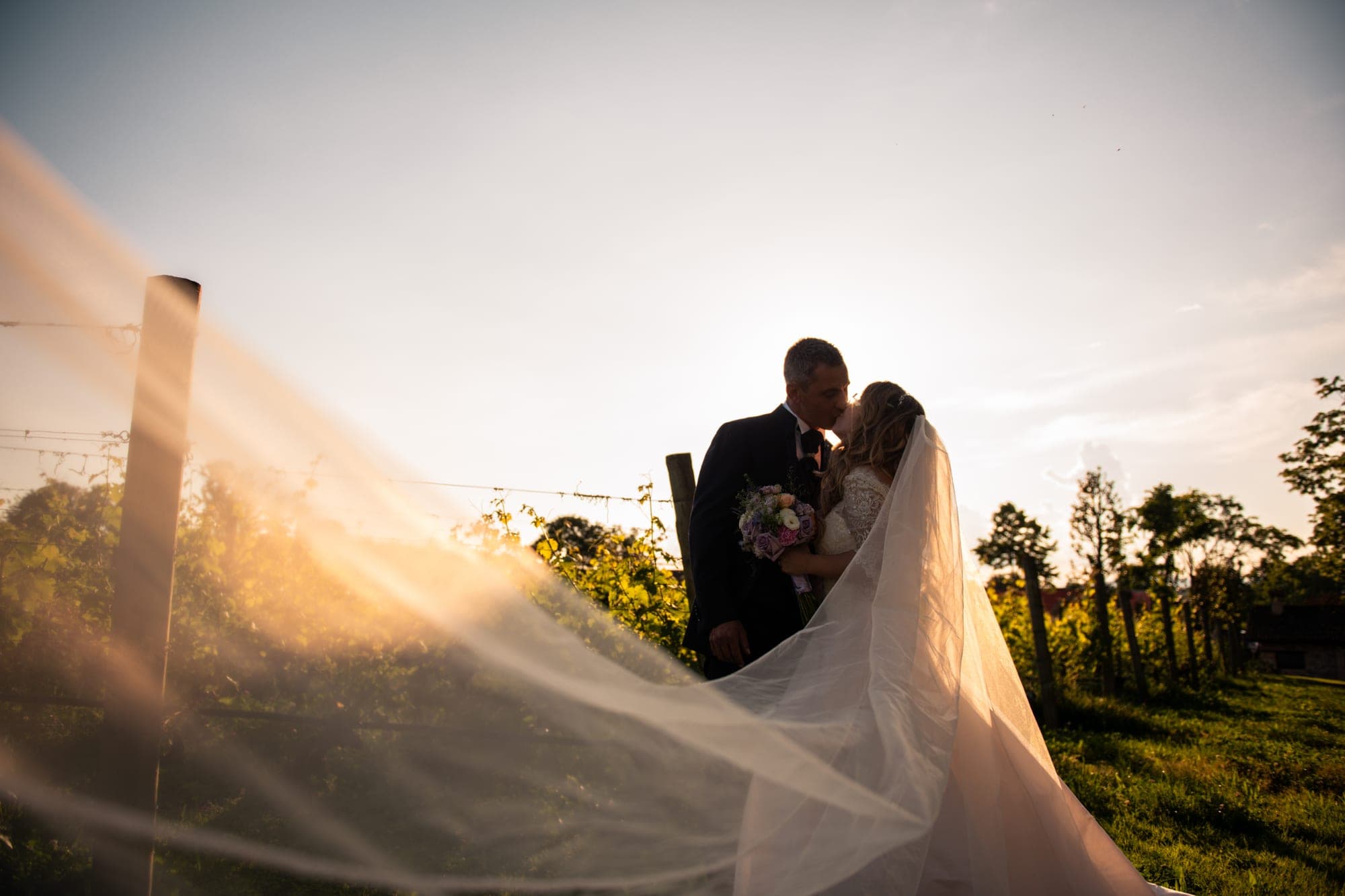 Couple kissing in vineyard at sunset with veil flowing