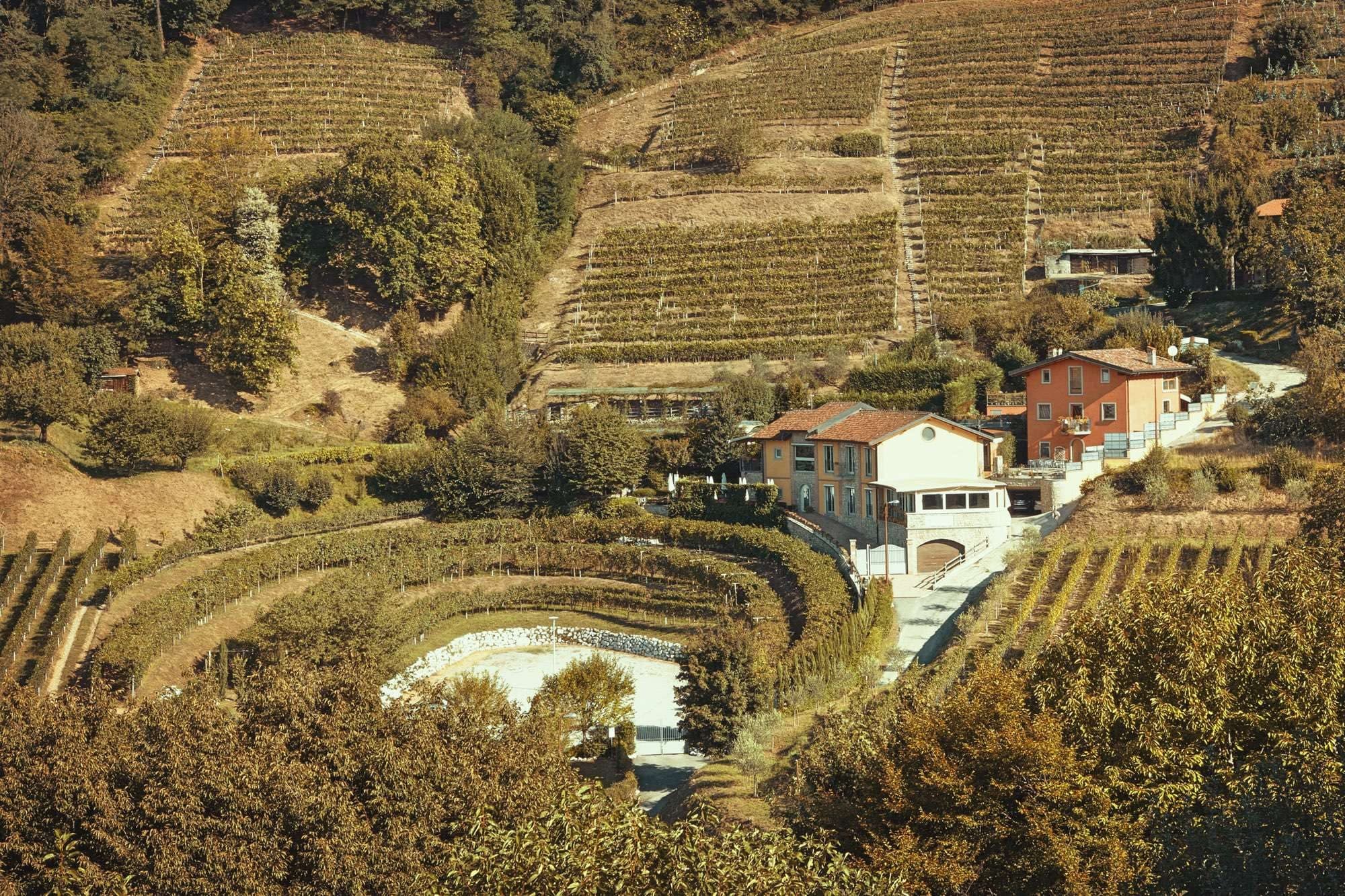 Vineyards and buildings on a hillside at Tenuta Casa Virginia.