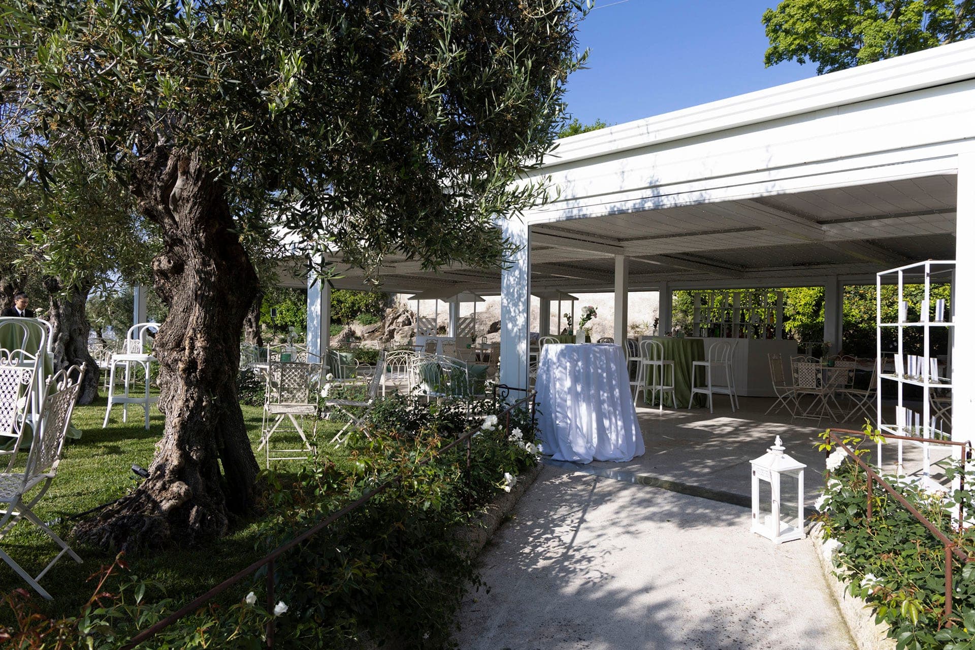 Outdoor reception area with tables, chairs, and an olive tree.
