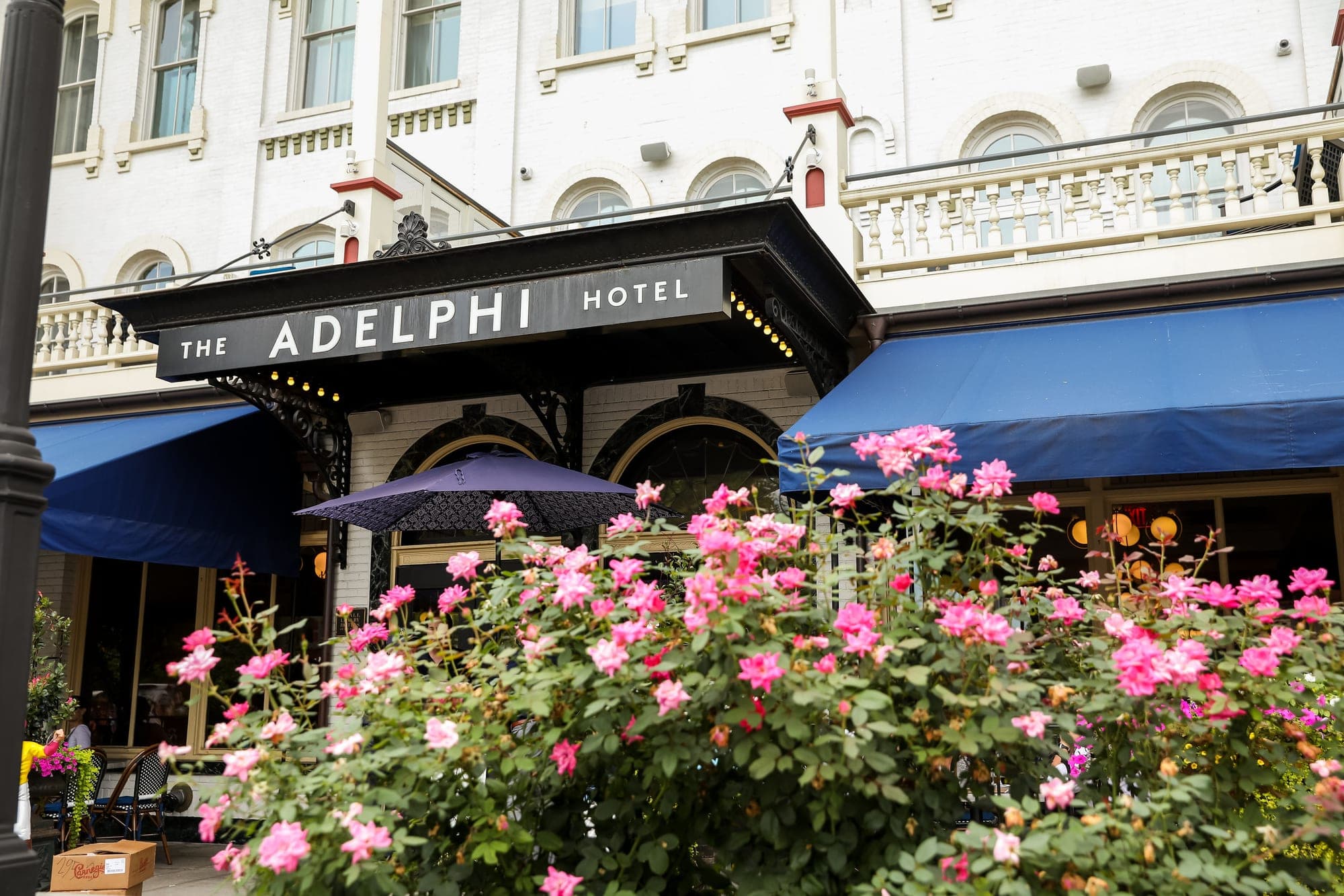 The Adelphi Hotel entrance with pink roses in bloom.
