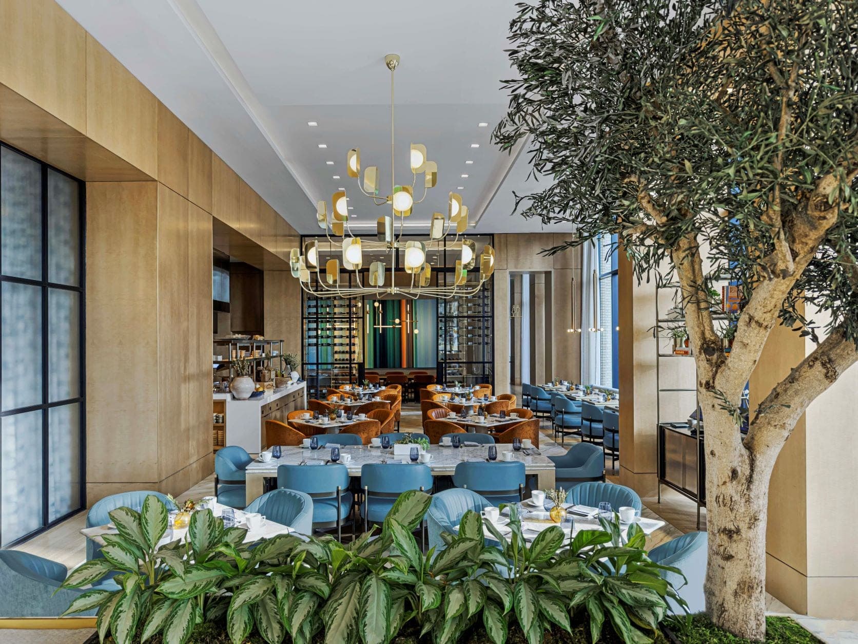 A dining room with tables set for a meal, featuring blue chairs and an olive tree.