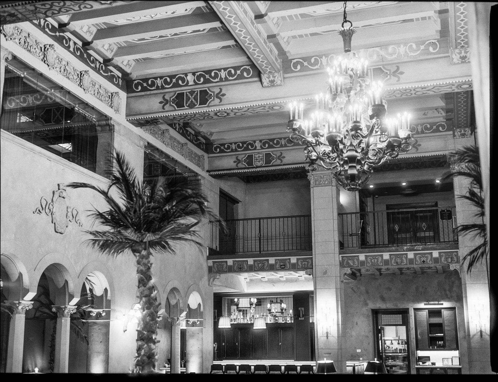 Interior of a venue with a large chandelier and a palm tree.
