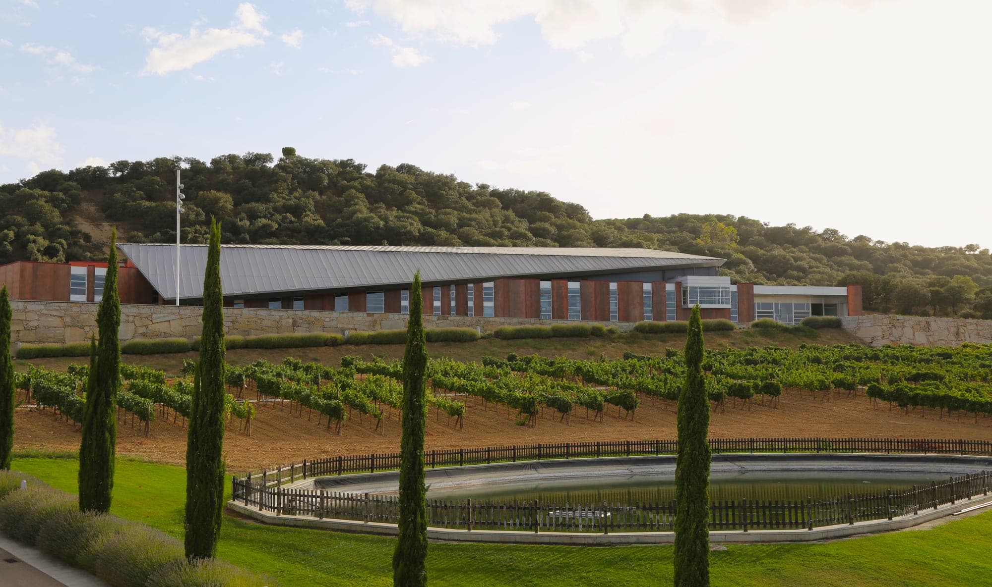 Exterior of a modern building with a sloped roof, surrounded by vineyards and trees.
