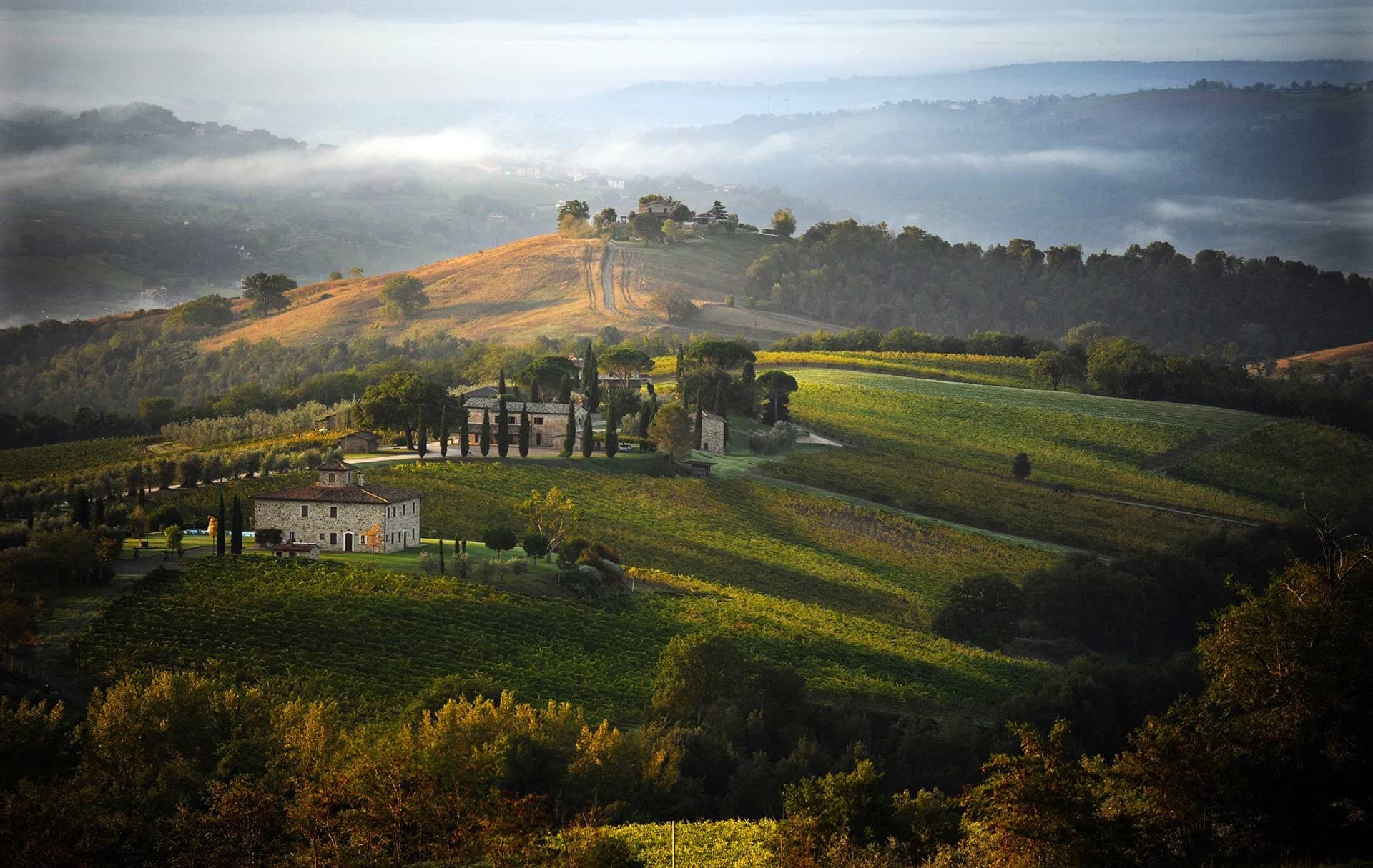 Villa Barbi estate with vineyards and rolling hills in the morning mist.