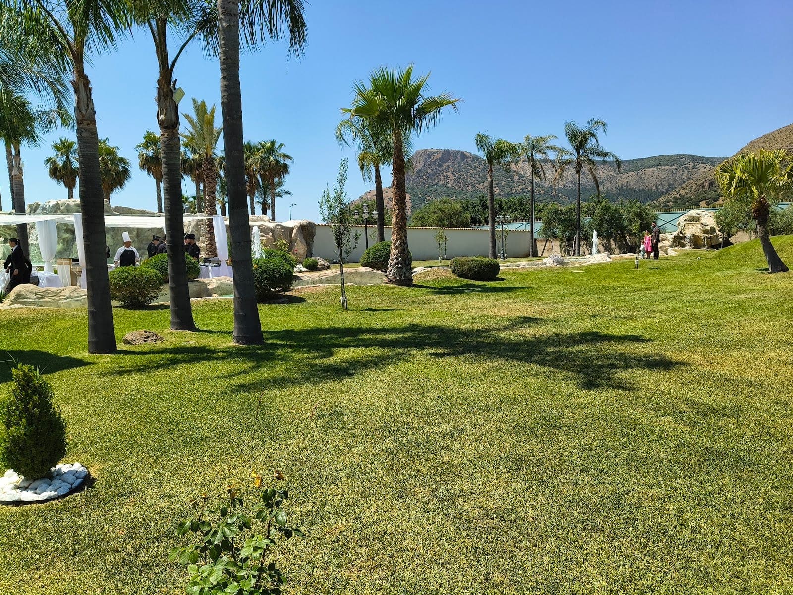 A sunny garden with palm trees and a manicured lawn.