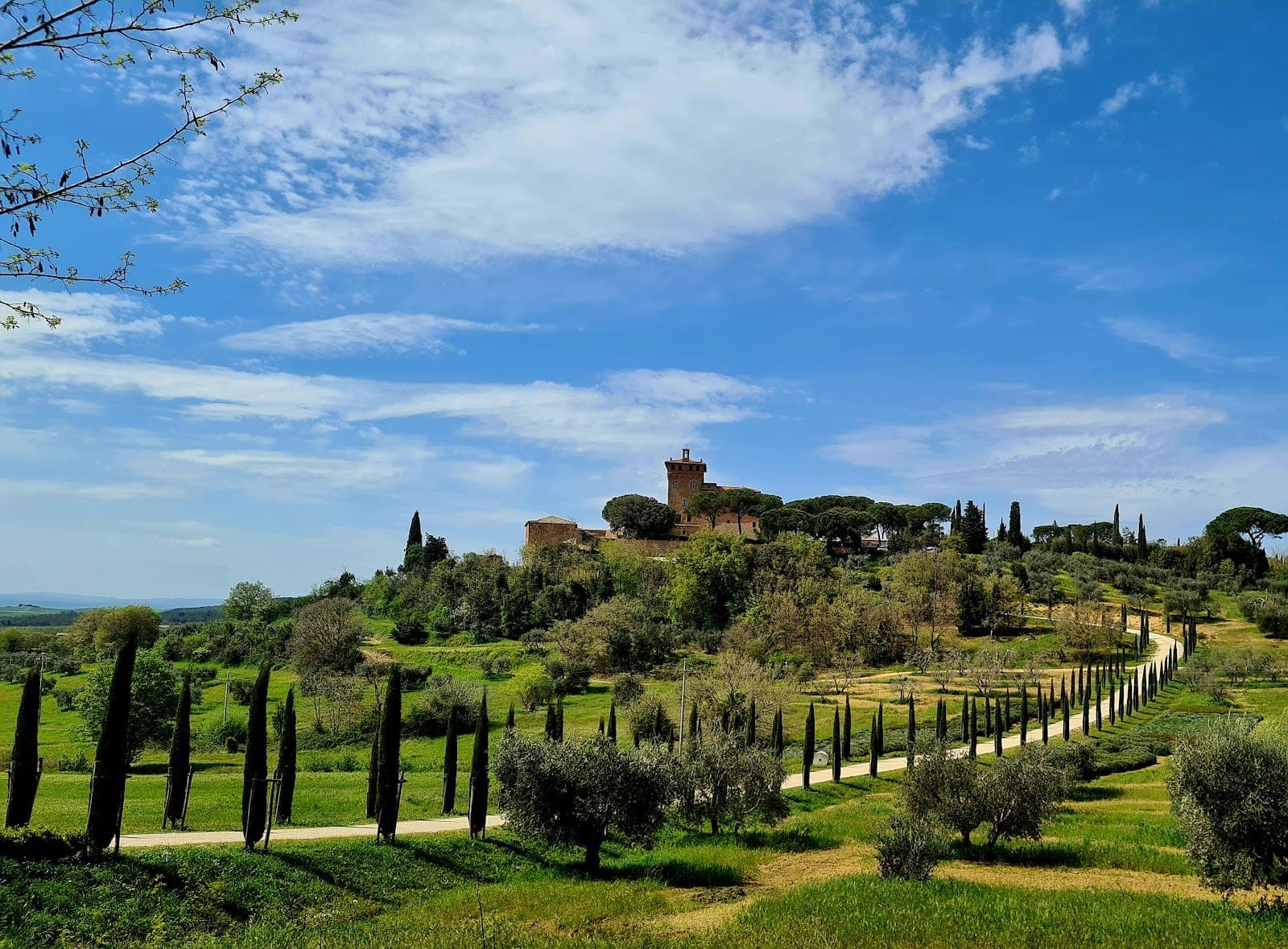 A winding road leads to a building on a hill surrounded by trees and fields.