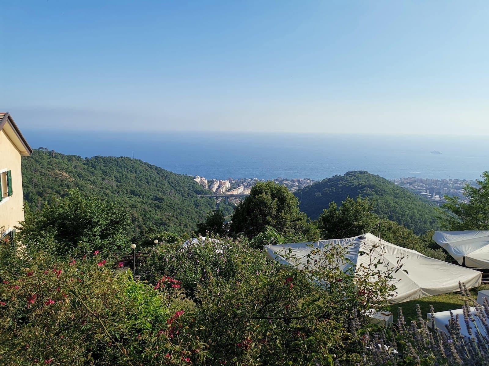 View of the sea and coastline from a hillside with tents and greenery.