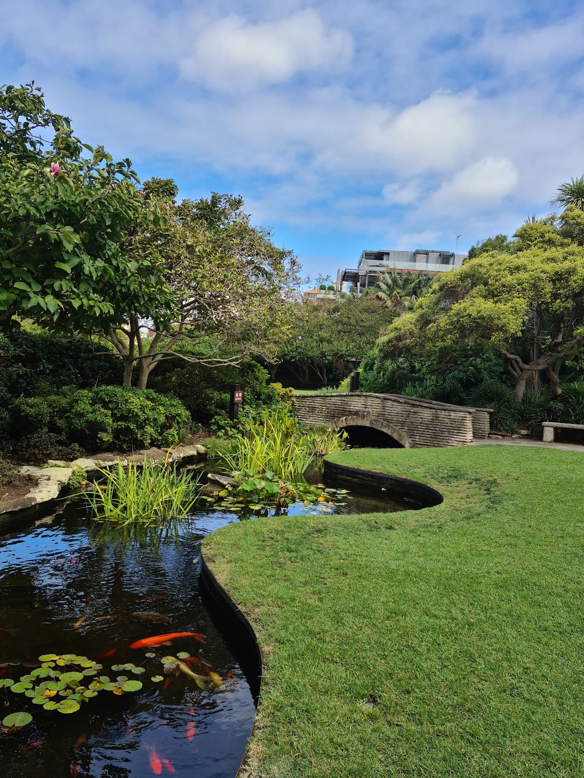 Arthur McElhone Reserve — destination wedding venue in Elizabeth Bay NSW 2011, Australia