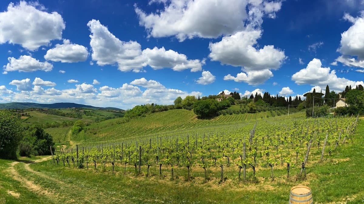 Azienda Agricola La Lastra — destination wedding venue in 53100 Siena SI, Italy