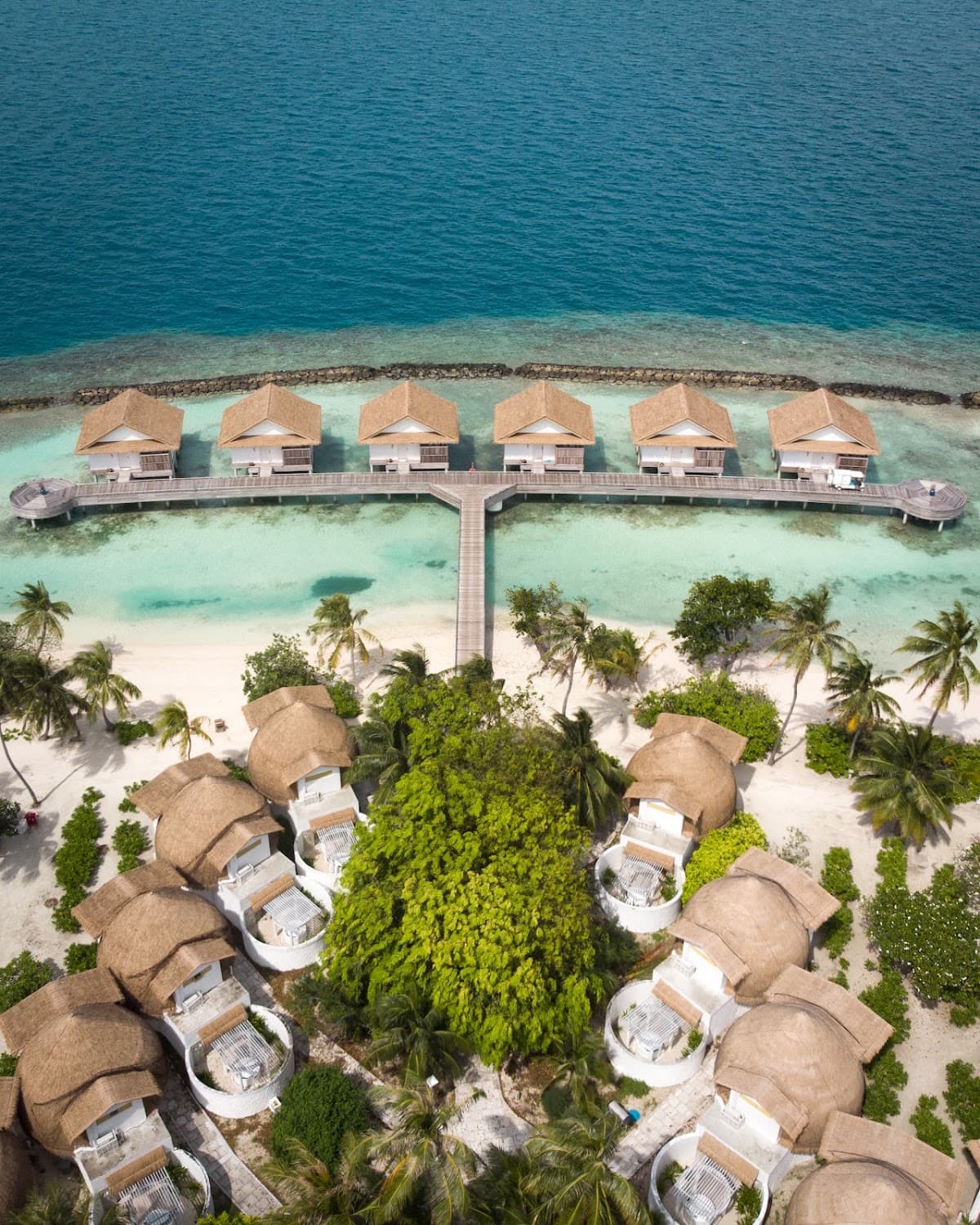 Bandos Maldives: destination wedding venue in 08480, Maldives