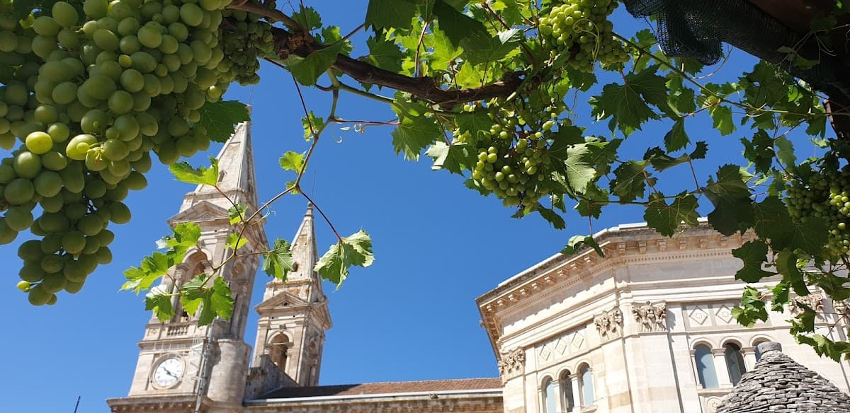 Bed and Breakfast Trullimania — destination wedding venue in 70011 Alberobello BA, Italy