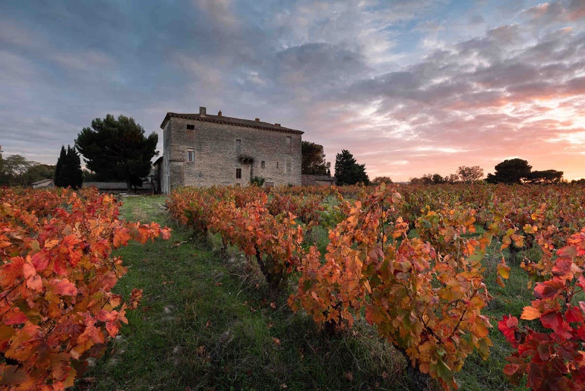 Château Saint Pierre d'Escarvaillac: destination wedding venue in 84140 Avignon, France