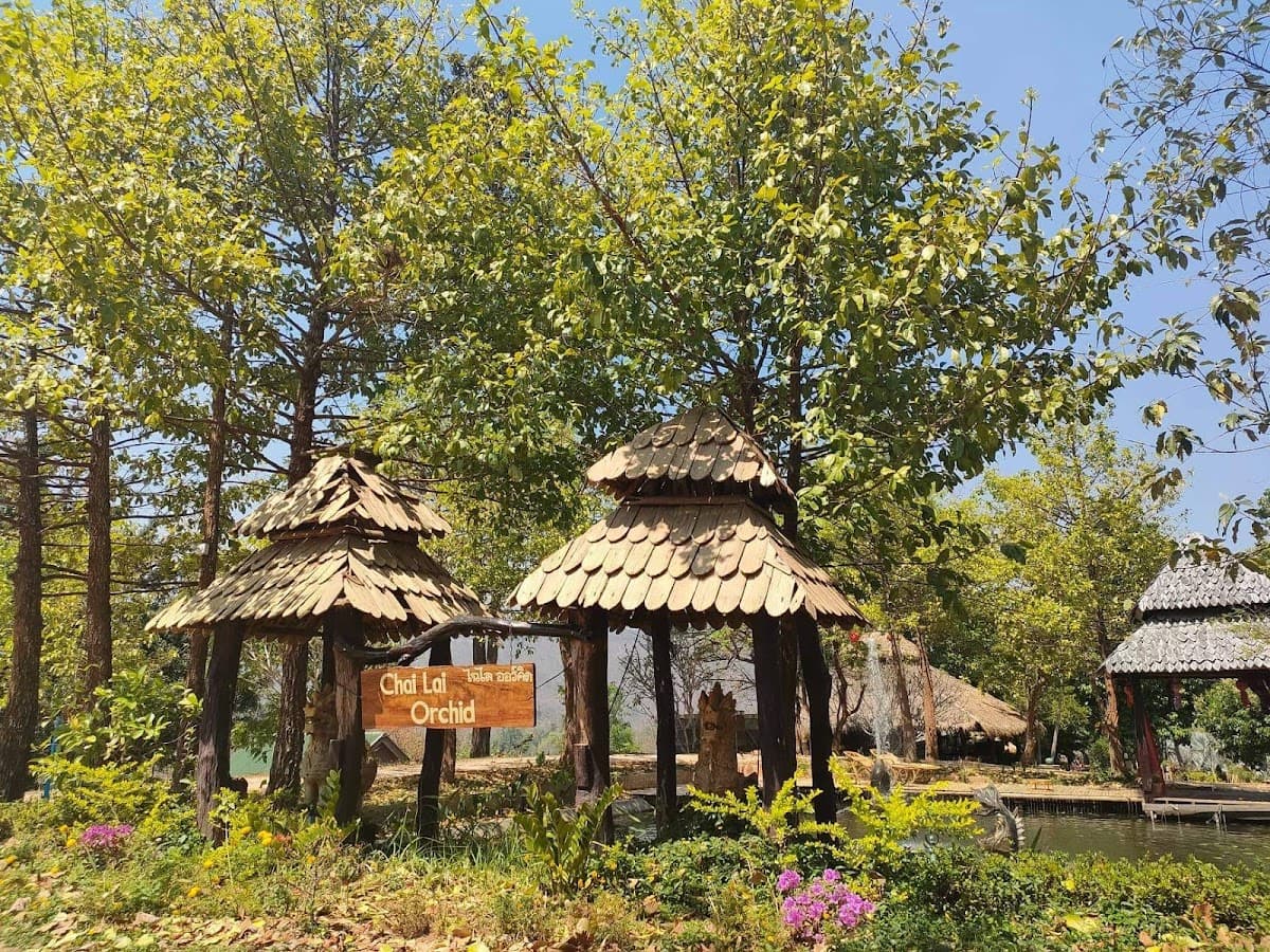 Chai Lai Orchid Eco Lodge and Cafe — destination wedding venue in ตำบล แม่วิน อำเภอ แม่วาง เชียงใหม่ 50360, Thailand
