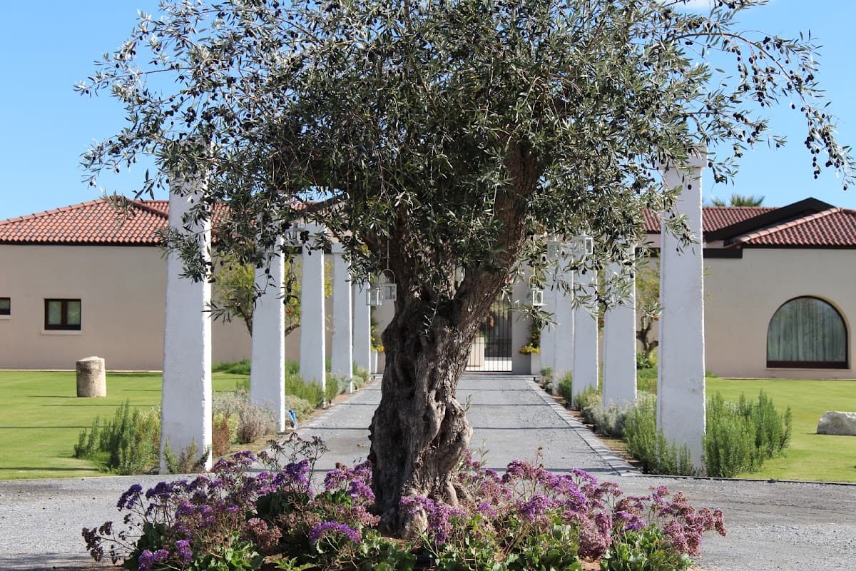 Corte Maddalena: destination wedding venue in 09012 Capoterra CA, Italy