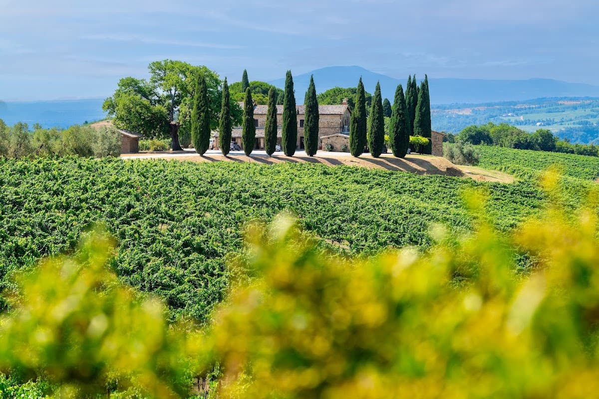 Decugnano dei Barbi: destination wedding venue in 05018 Orvieto TR, Italy