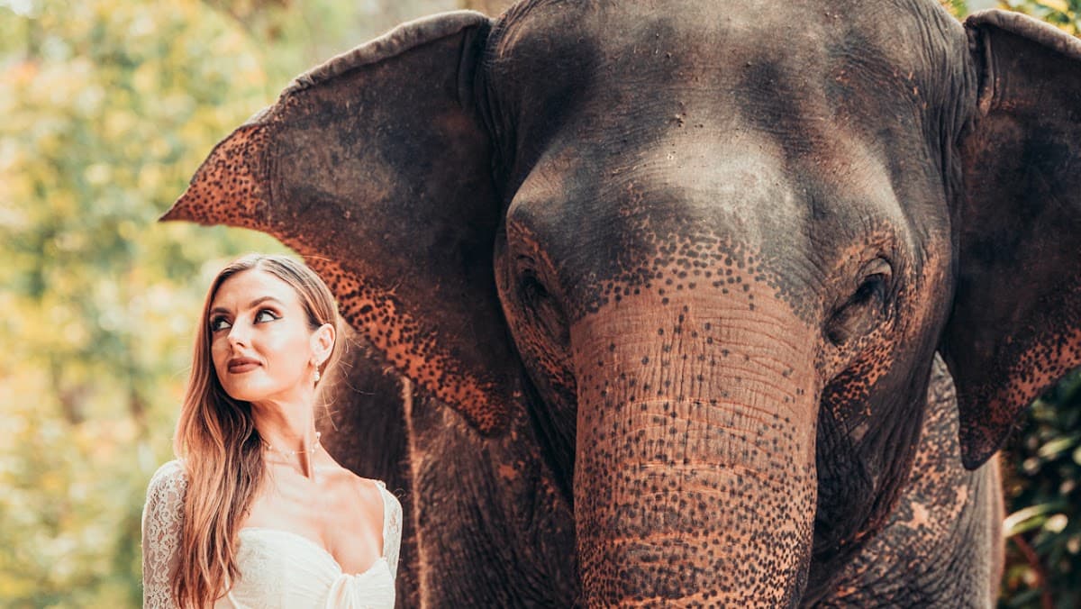 DLC PHOTO SERVICES by James de la cloche — destination wedding venue in Chang Wat Chiang Mai 50360, Thailand