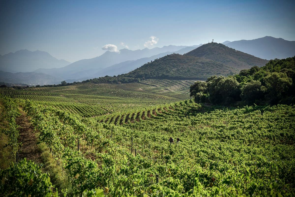 Domaine Comte Peraldi — destination wedding venue in 20167 Ajaccio, France