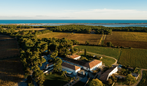 Domaine du Mas Neuf: destination wedding venue in 34110 Vic-la-Gardiole, France