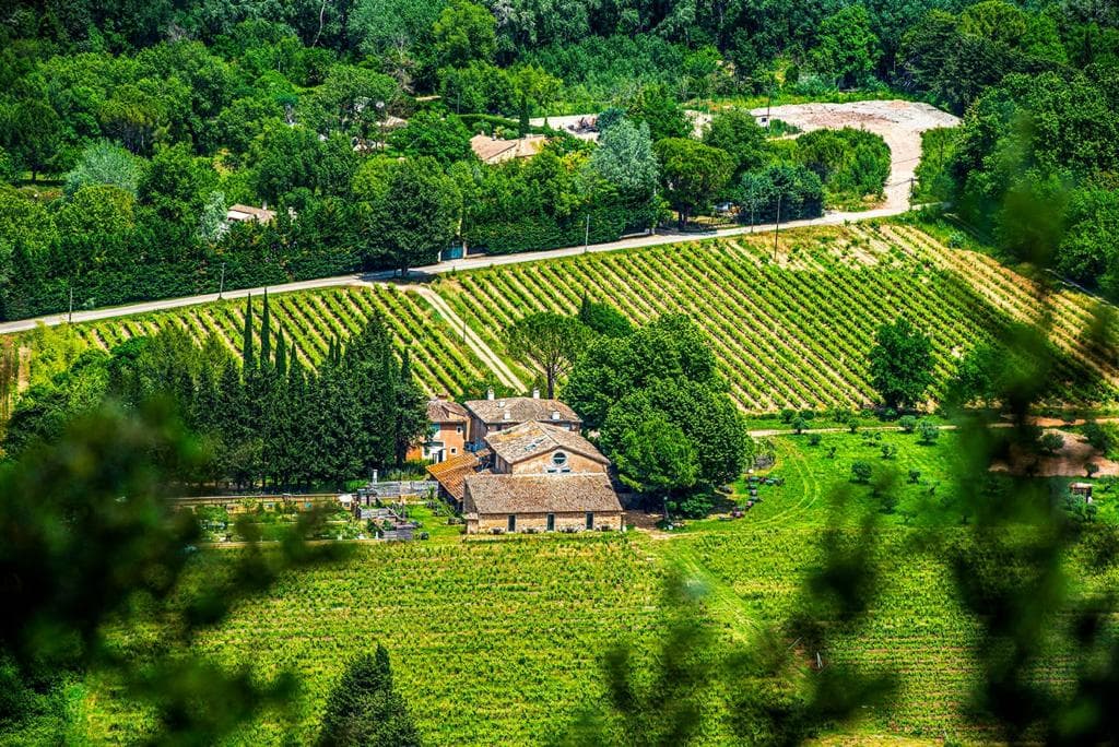 Domaine Régis Frères: destination wedding venue in 83550 Vidauban, France