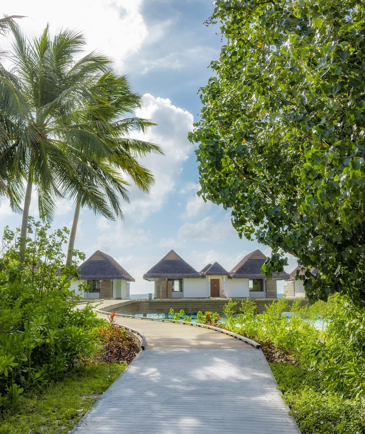 dusitD2 Feydhoo Maldives: destination wedding venue in Malé 27188, Maldives