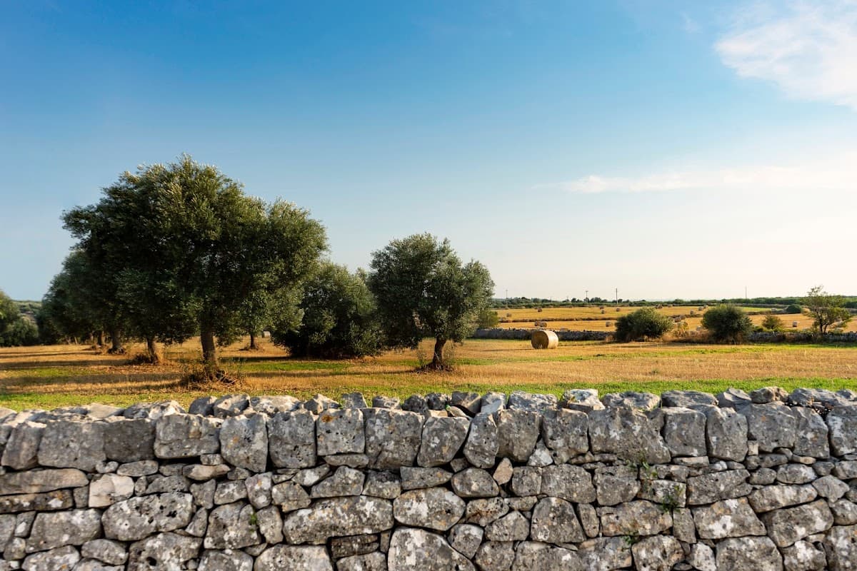 Feudo di Monteferraro — destination wedding venue in 70010 Turi BA, Italy