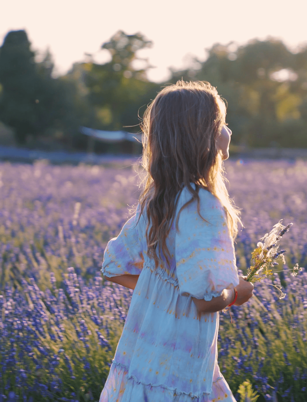 Home Lavender - Terre Ugo — destination wedding venue in 13540 Aix-en-Provence, France