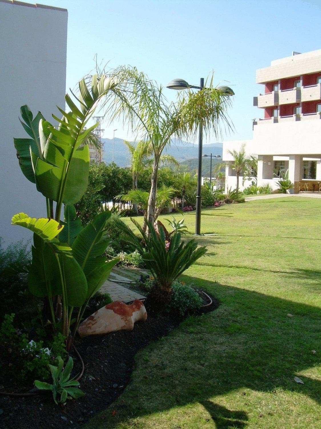 Hotel Montera Plaza, wedding venue in Los Barrios, Spain