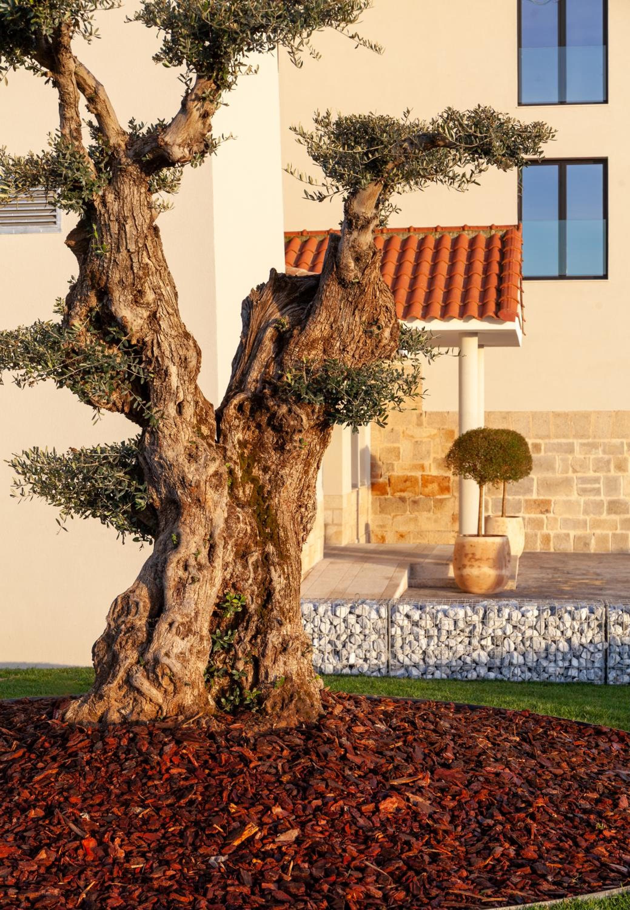 HOTEL RURAL FINCA LA DESA, wedding venue in Miajadas, Spain