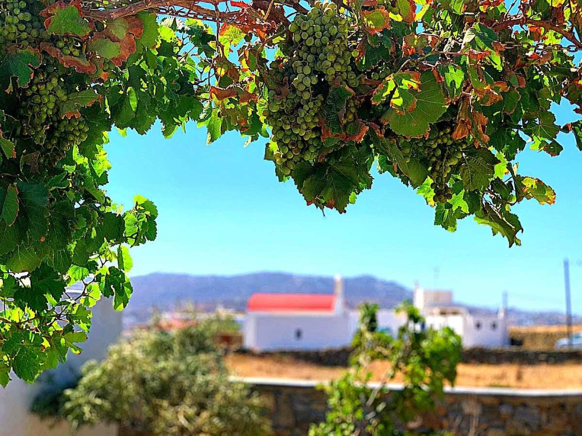 Kafedena's Village — destination wedding venue in Mikonos 846 00, Greece