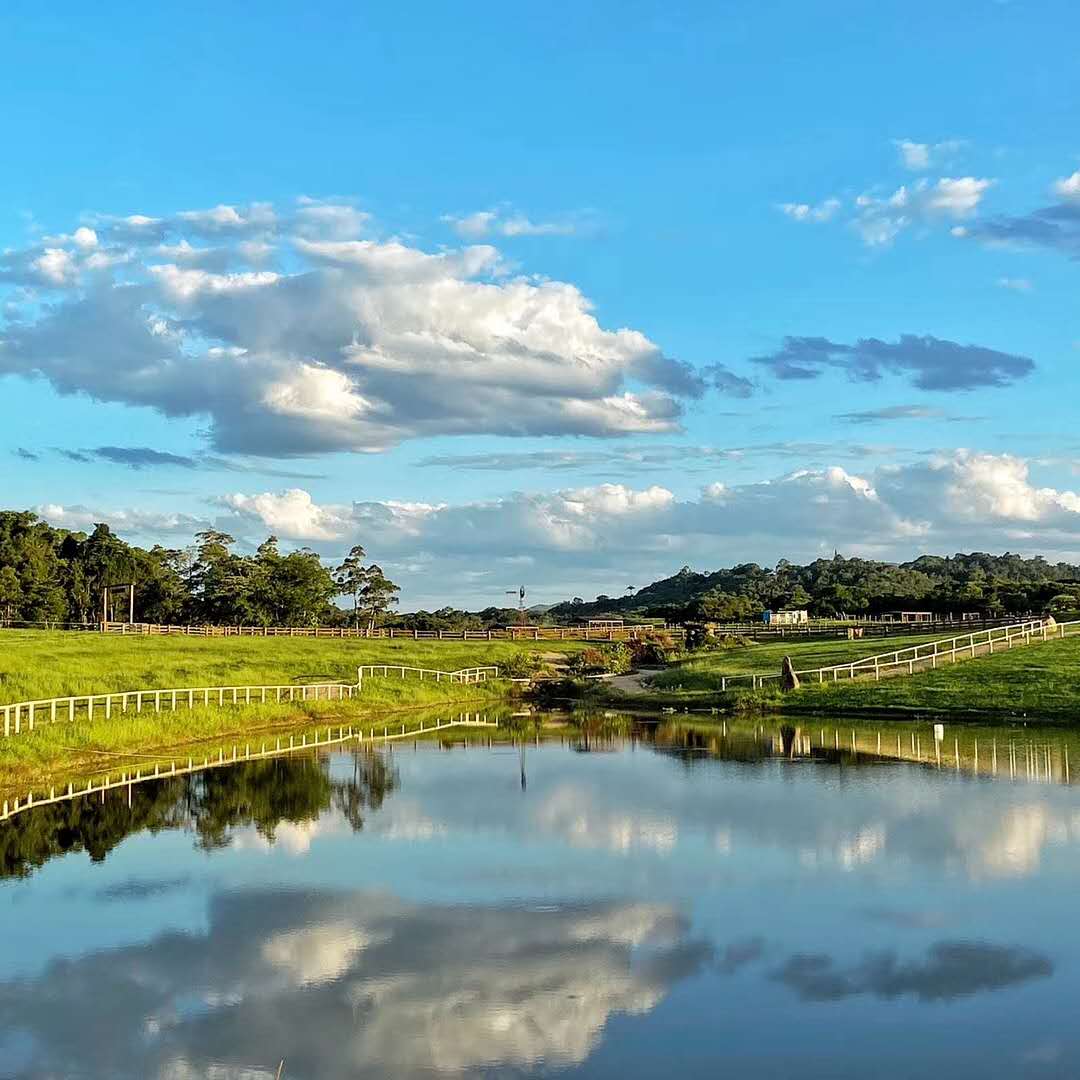 KUR-Cow Barnwell Farm — destination wedding venue in Kuranda QLD 4881, Australia