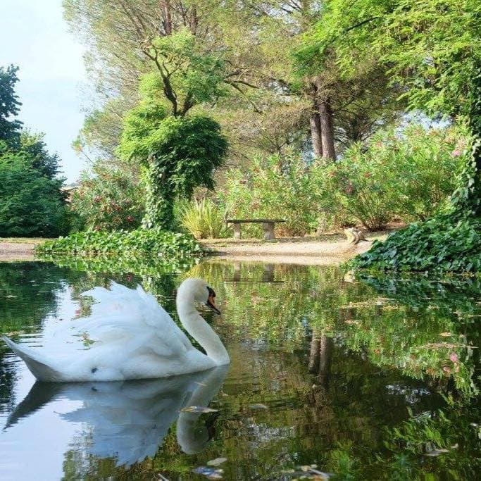 Le 7 Fonti — destination wedding venue in 00123 Roma RM, Italy