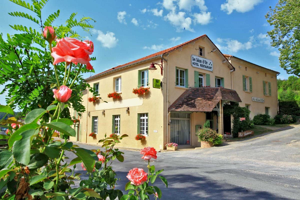 Logis Hôtel le Lion d'Or: destination wedding venue in 24110 Manzac-sur-Vern, France