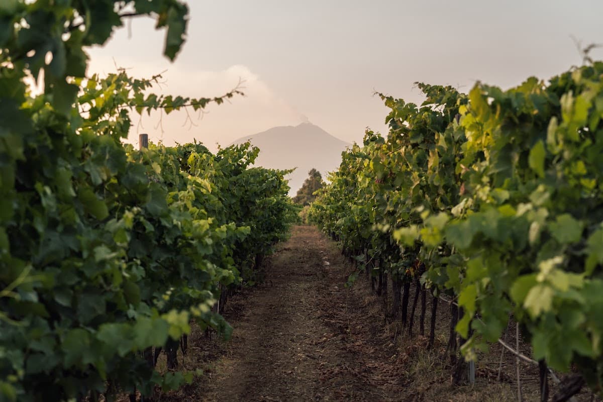 Masseria Incarrozza — destination wedding venue in 95045 Misterbianco CT, Italy