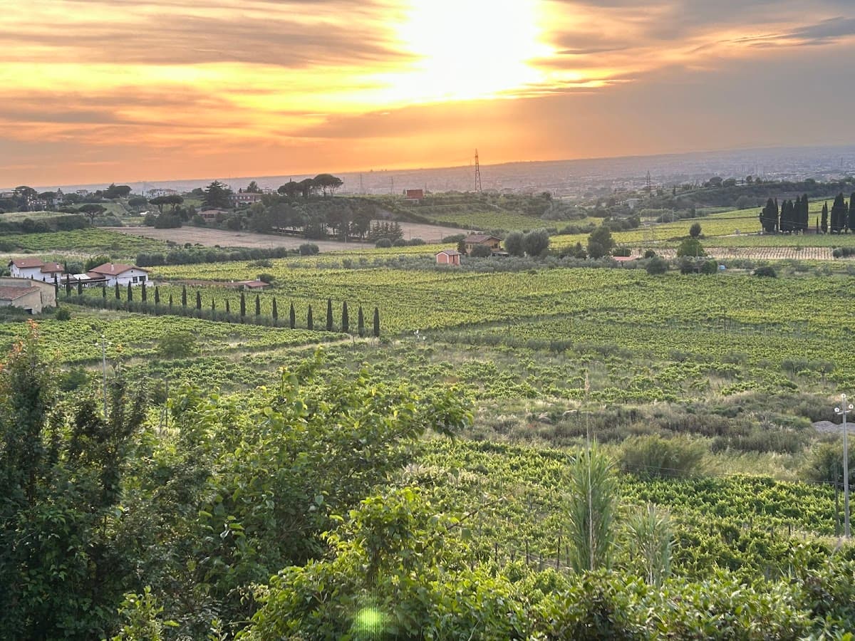 Merumalia Società Agricola Semplice: destination wedding venue in 00044 Frascati RM, Italy