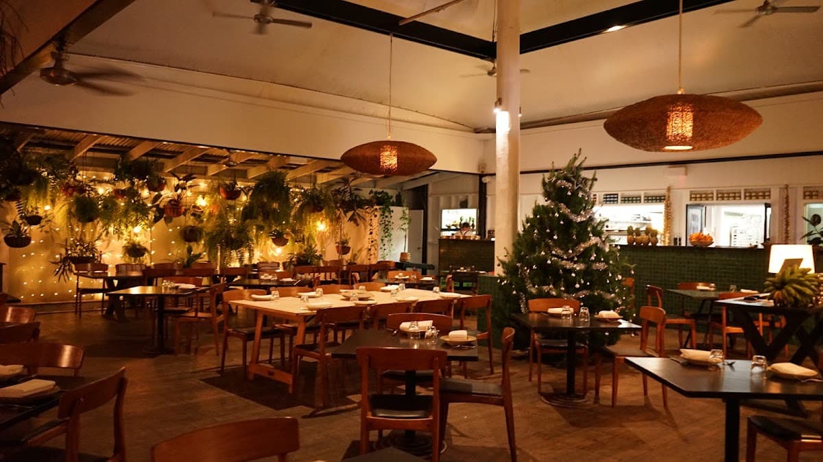 Nu Nu Restaurant — destination wedding venue in Palm Cove QLD 4879, Australia