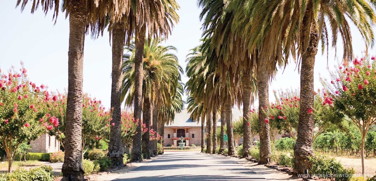 Palm Event Center in the Vineyard, destination wedding venue in CA 94566, United States