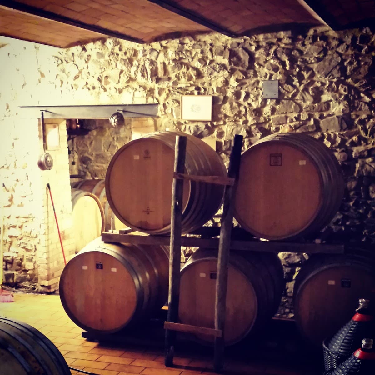 Podere Il Cocco: destination wedding venue in 53024 Montalcino SI, Italy