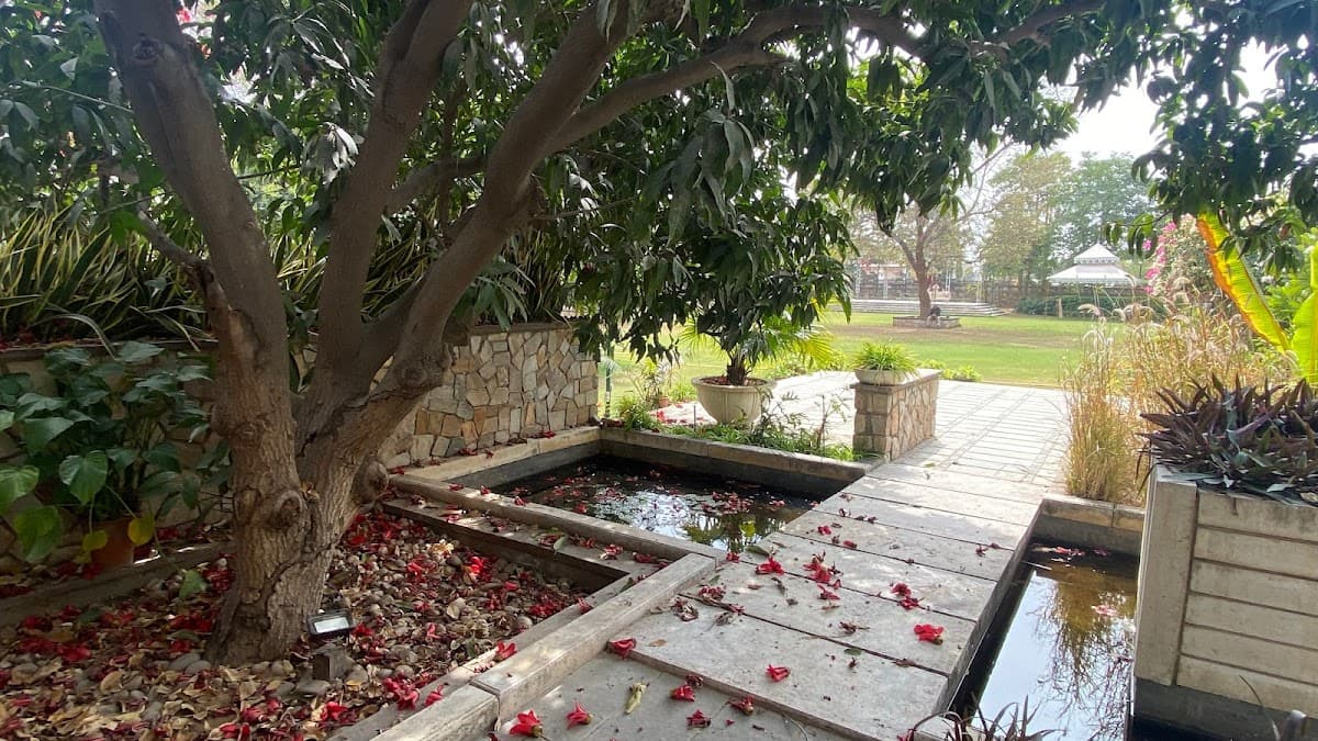 Punsumi Farms - The Prettiest Venue for Premium Weddings & Parties! — destination wedding venue in Rajasthan 302012, India
