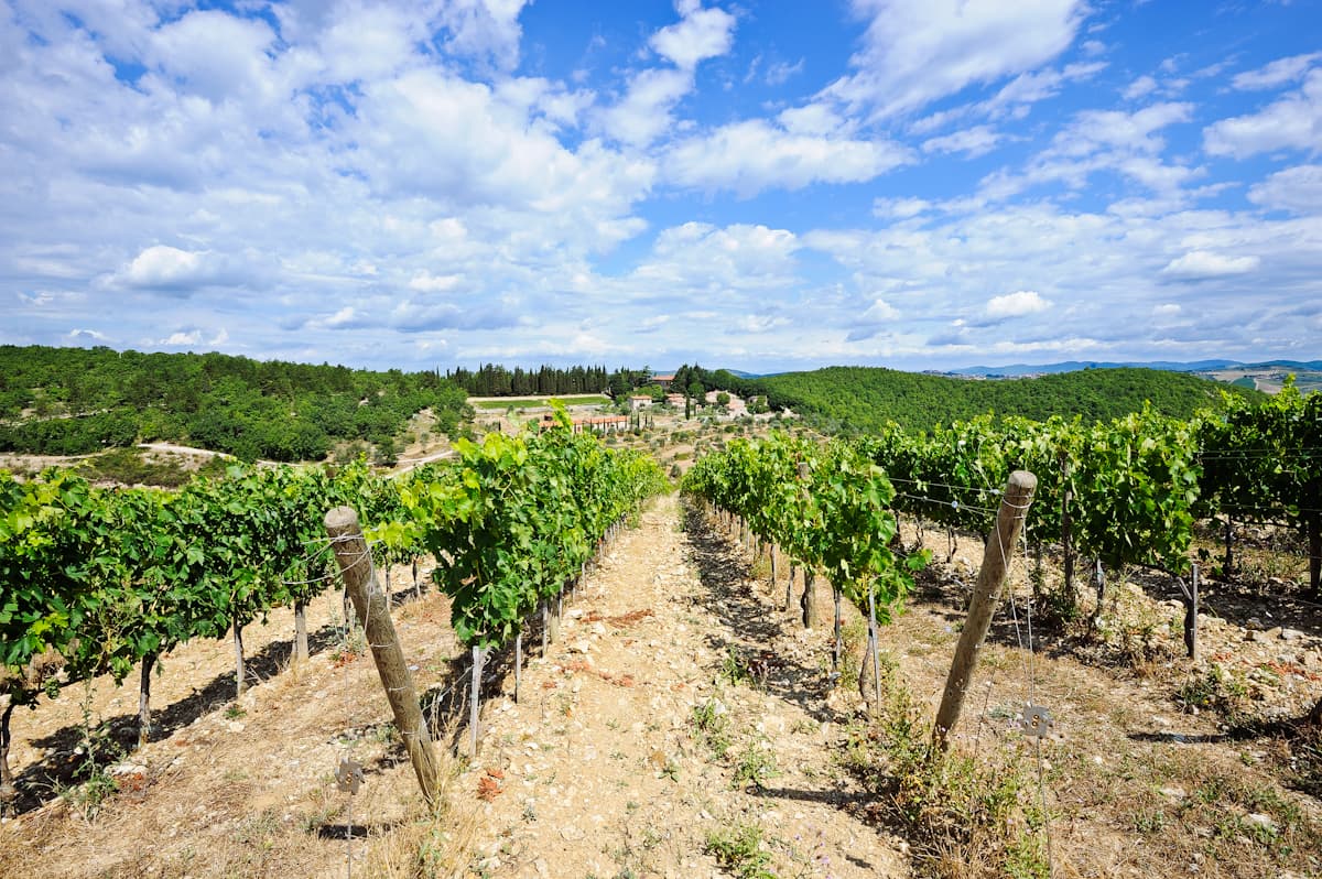 Querceto di Castellina: destination wedding venue in 53011 Castellina in Chianti SI, Italy