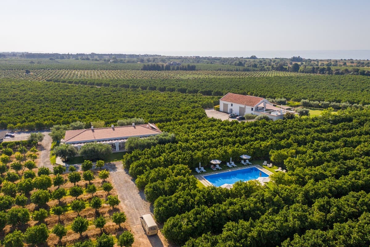 Quinta dos Perfumes: destination wedding venue in 8800-058 Tavira, Portugal