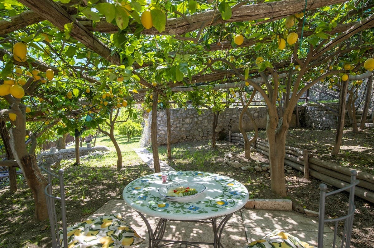 Ristorante Costa Diva — destination wedding venue in 84010 Praiano SA, Italy