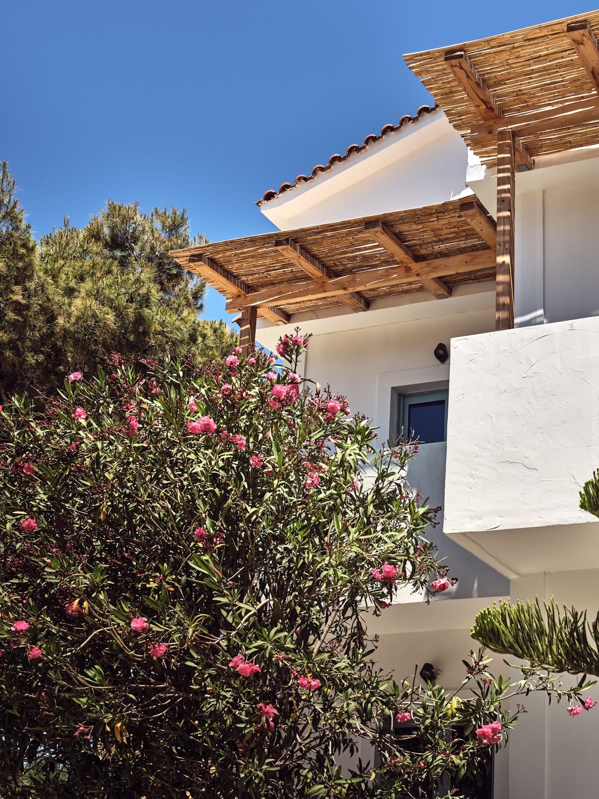 Shellona Rooms & Apartments — destination wedding venue in Laganas 290 92, Greece