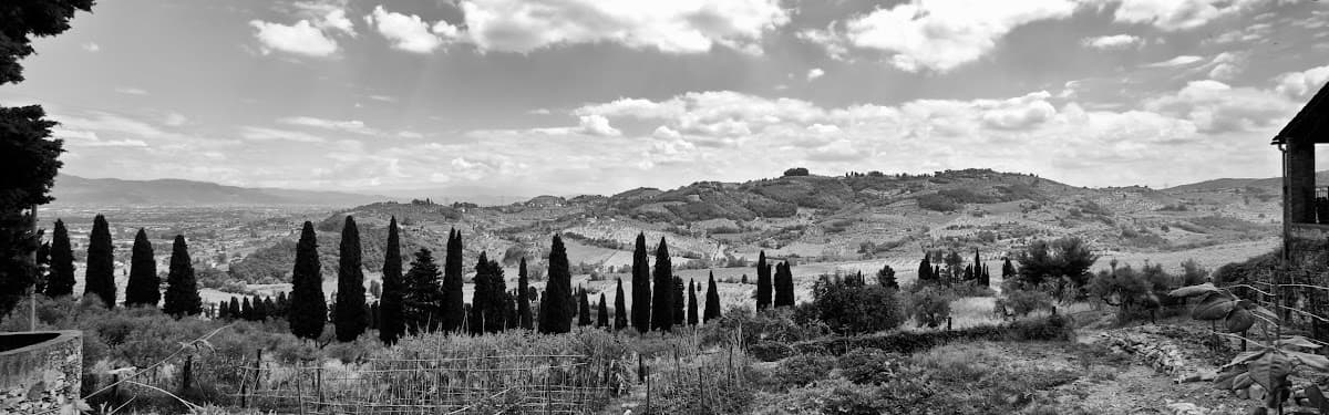 Tenuta di Capezzana — destination wedding venue in 59015 Carmignano PO, Italy