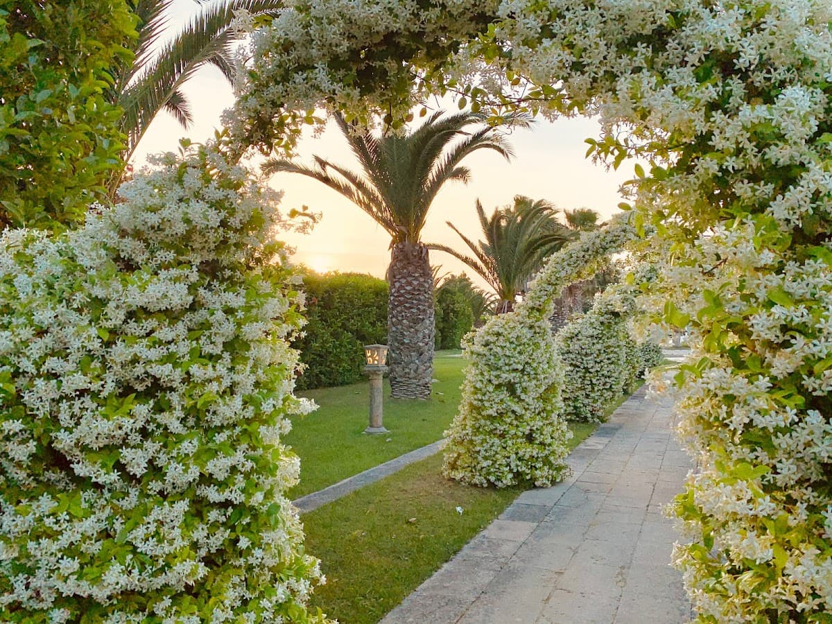 Tenuta la Corte Agriturismo e Ricevimenti — destination wedding venue in 73051 Novoli LE, Italy