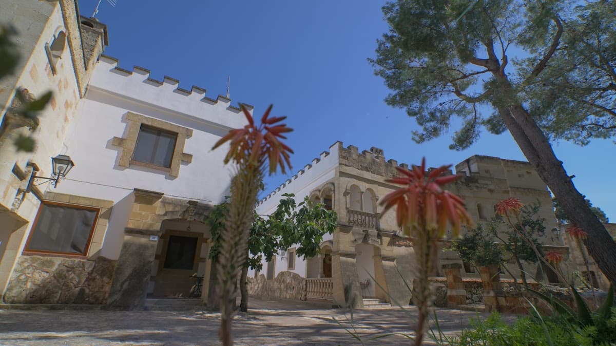 Tenute Al Bano: destination wedding venue in 72020 Cellino San Marco BR, Italy