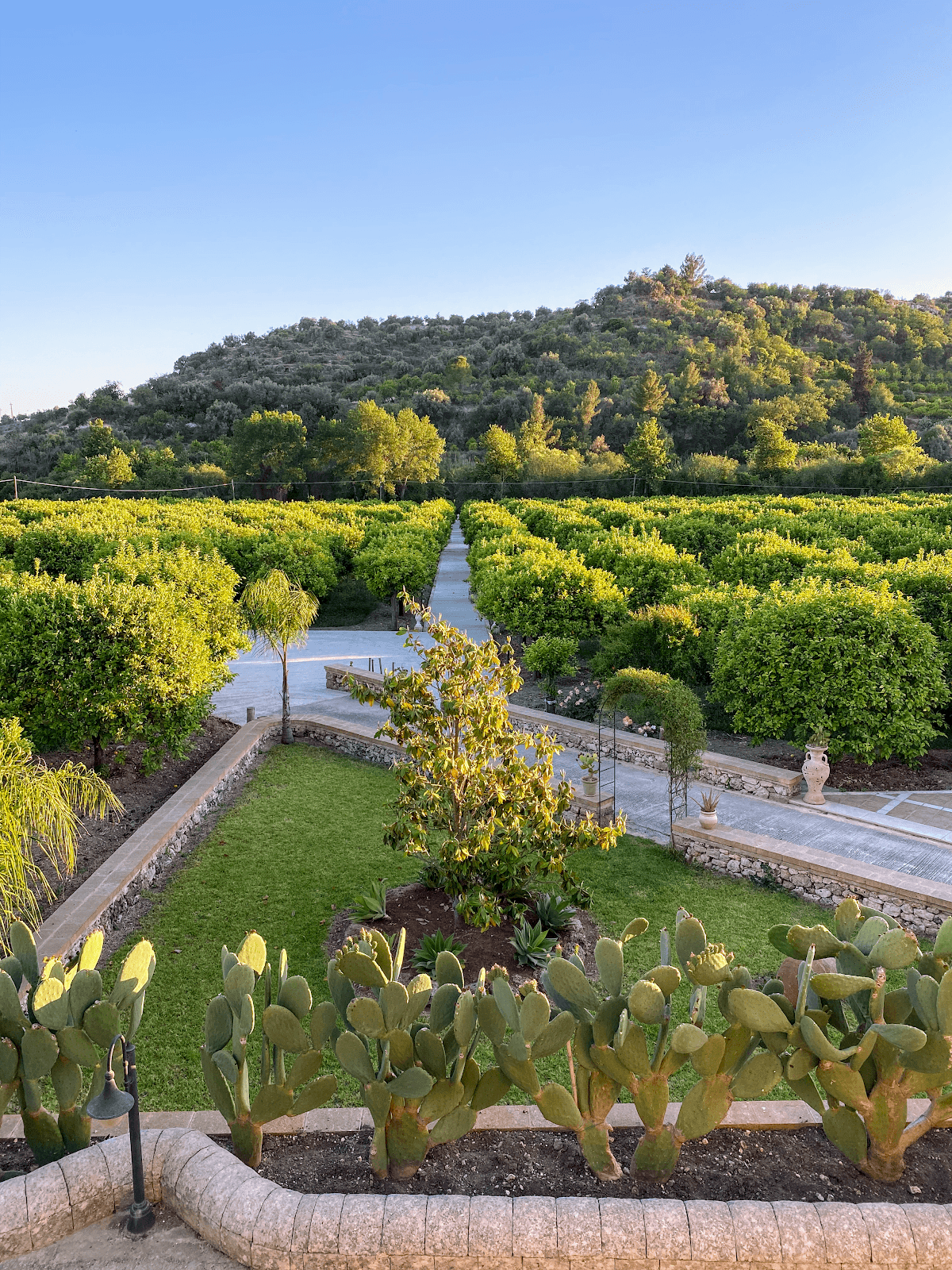 Valle degli Dei - Noto — destination wedding venue in 96017 Noto SR, Italy