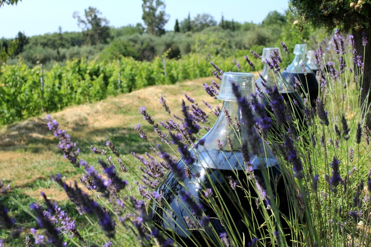 Vignoble Rasse Saint-Jeannet Vindazur: destination wedding venue in 06640 Saint-Jeannet, France