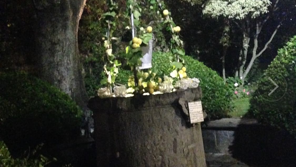Villa del Vecchio Pozzo: destination wedding venue in 80123 Napoli NA, Italy