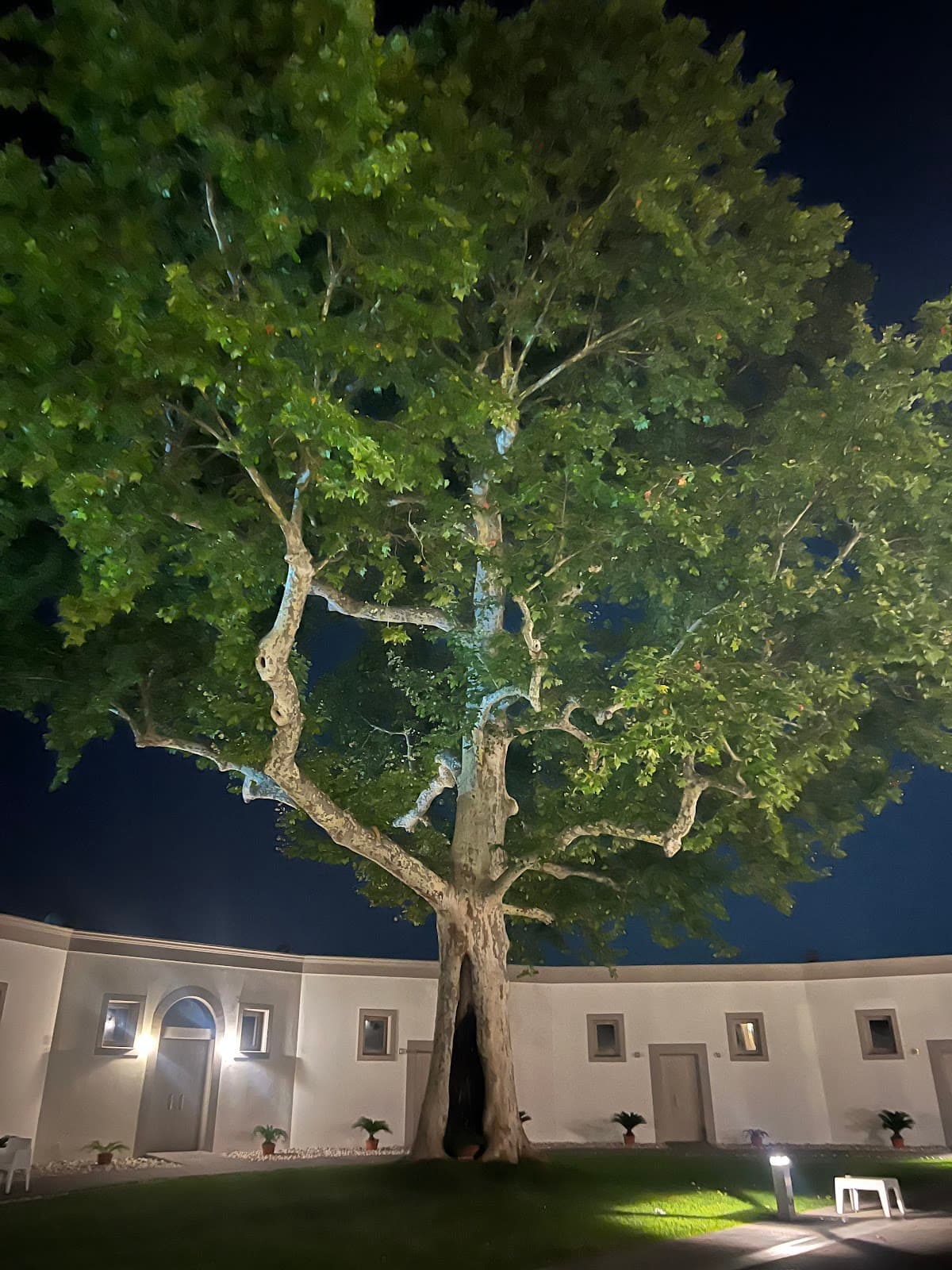 Villa Montesano — destination wedding venue in 80030 San Paolo Bel Sito NA, Italy