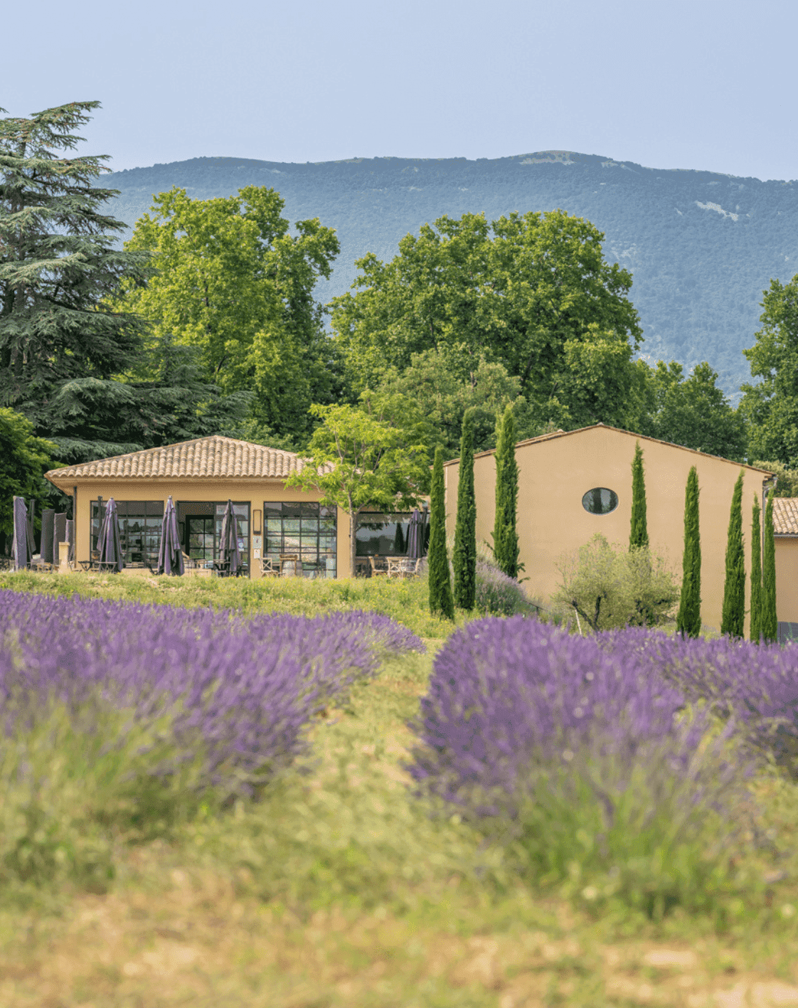 Vineyard Du Château De Sannes: destination wedding venue in 84240 Sannes, France